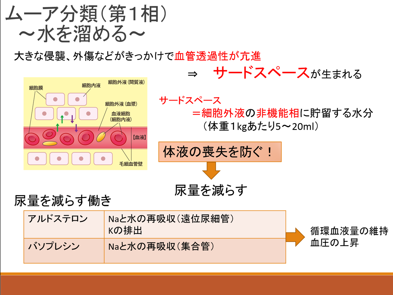 看護師国家試験 過去問 Mooreの提唱した手術後の回復過程の第1相 異化期 の生体反応はどれか 絶対合格 看護師国家試験オンラインサロン