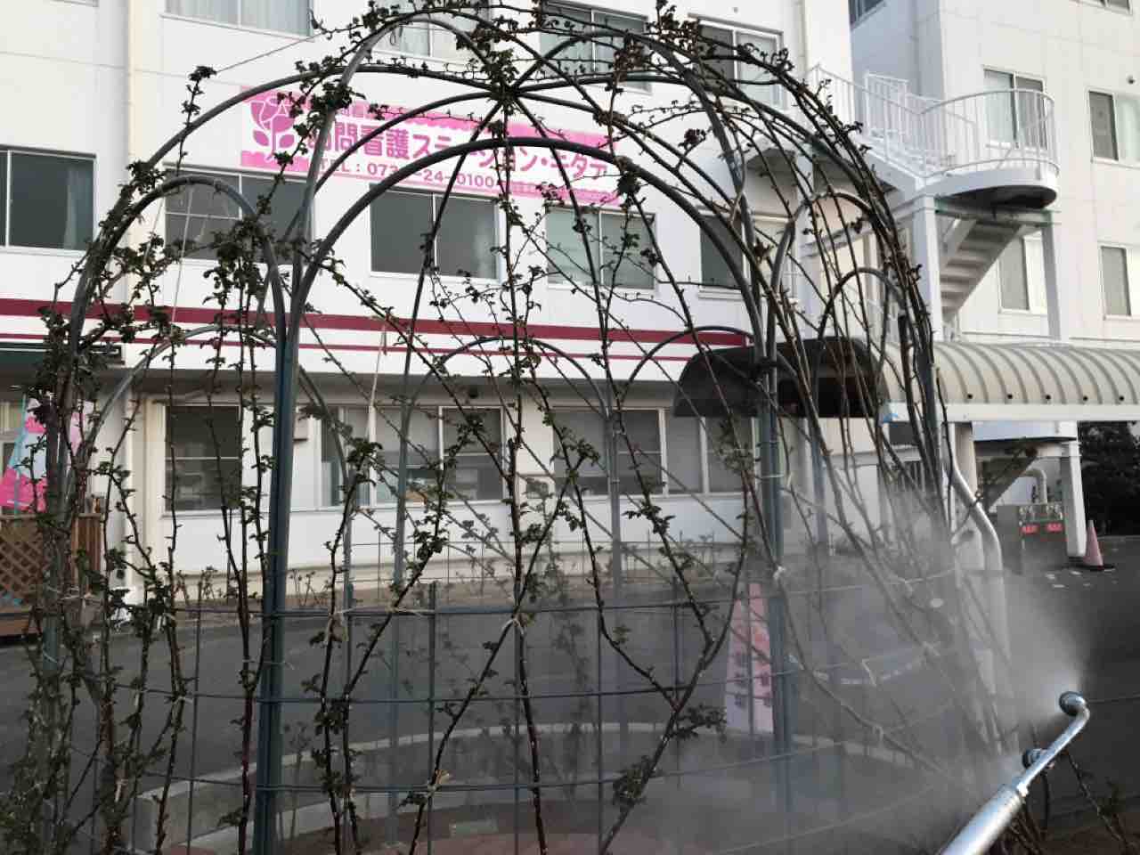 園芸店ナーセリーナカムラのブログ 園芸店ナーセリーナカムラのブログ