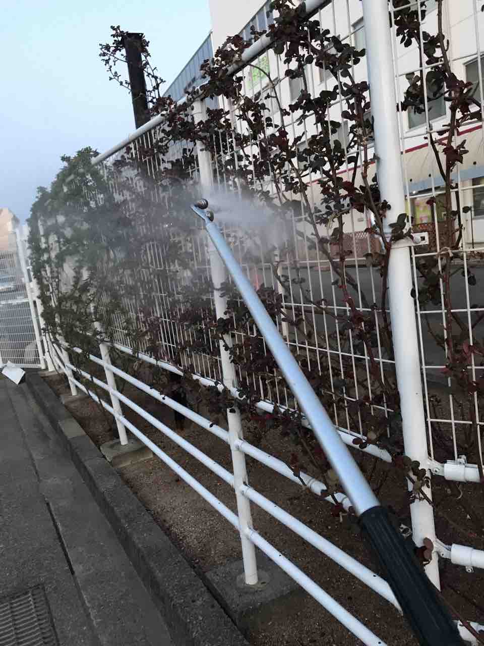 園芸店ナーセリーナカムラのブログ 園芸店ナーセリーナカムラのブログ
