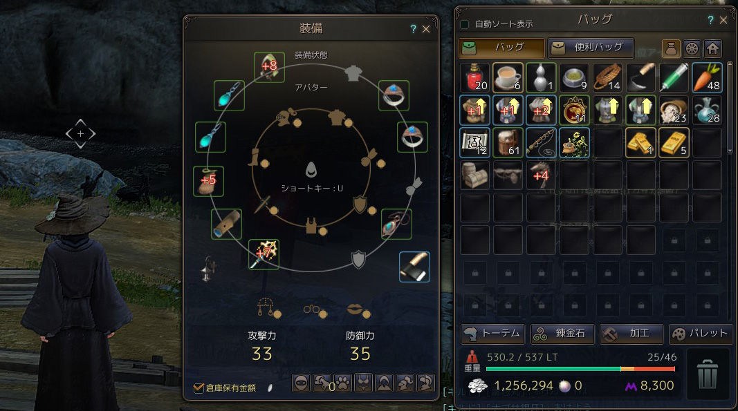 ぬるく儲かるカモメ追いかけ漁に出てみたよ 続 黒い砂漠をぬるく楽しむ