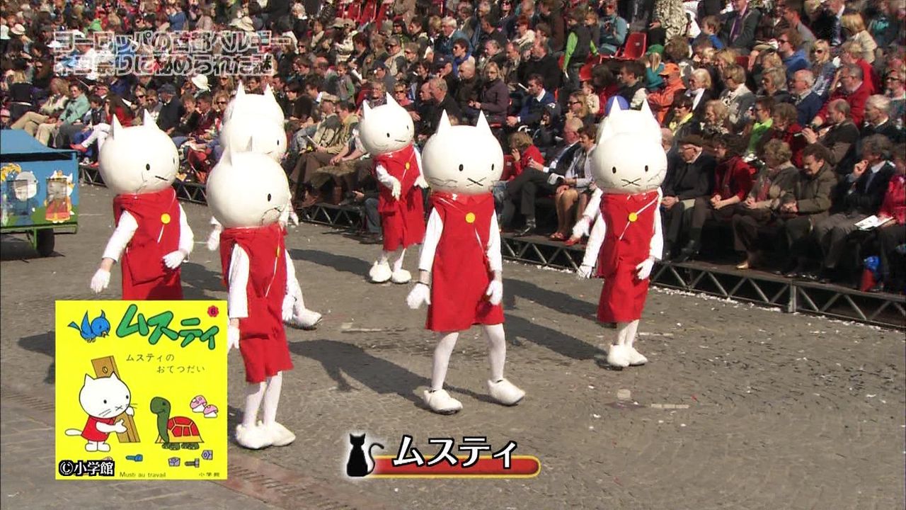 ベルギーの猫祭りと猫画像色々 ぬる い話 3 ベルギーの猫祭りと猫画像色々 ぬる い話 3
