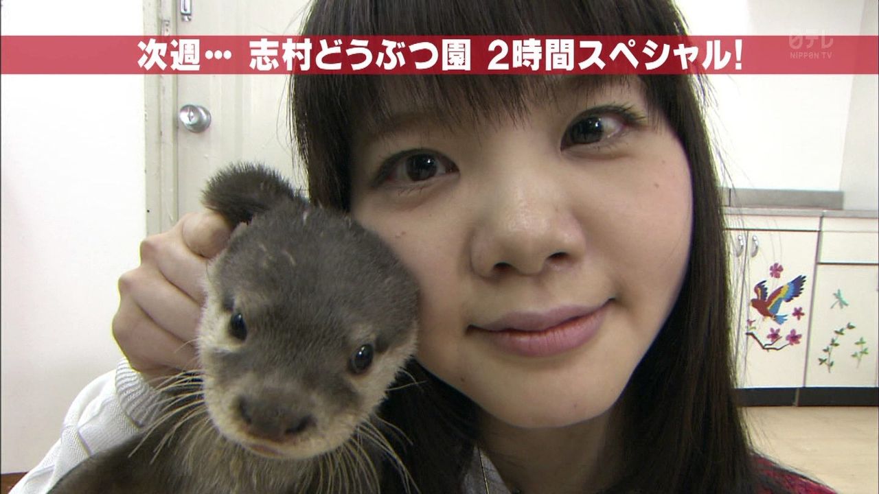 吉岡聖恵 カワウソ夢の初共演 ぬる い話 4 吉岡聖恵 カワウソ夢の初共演 ぬる い話 4