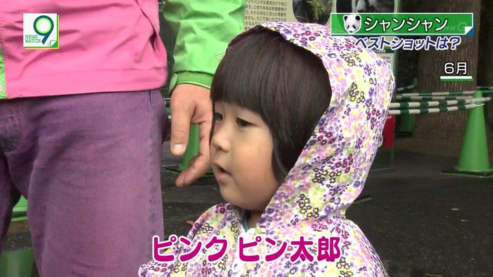 パンダ ピンクピン太郎ネタ ぬる い話 5 パンダ ピンクピン太郎ネタ ぬる い話 5