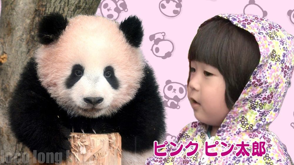 パンダ ピンクピン太郎ネタ ぬる い話 5 パンダ ピンクピン太郎ネタ ぬる い話 5