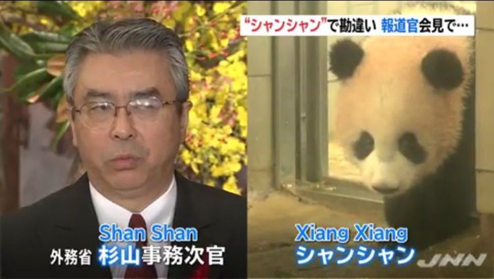 パンダ 華春瑩 段文凝ネタ ぬる い話 5 パンダ 華春瑩 段文凝ネタ ぬる い話 5