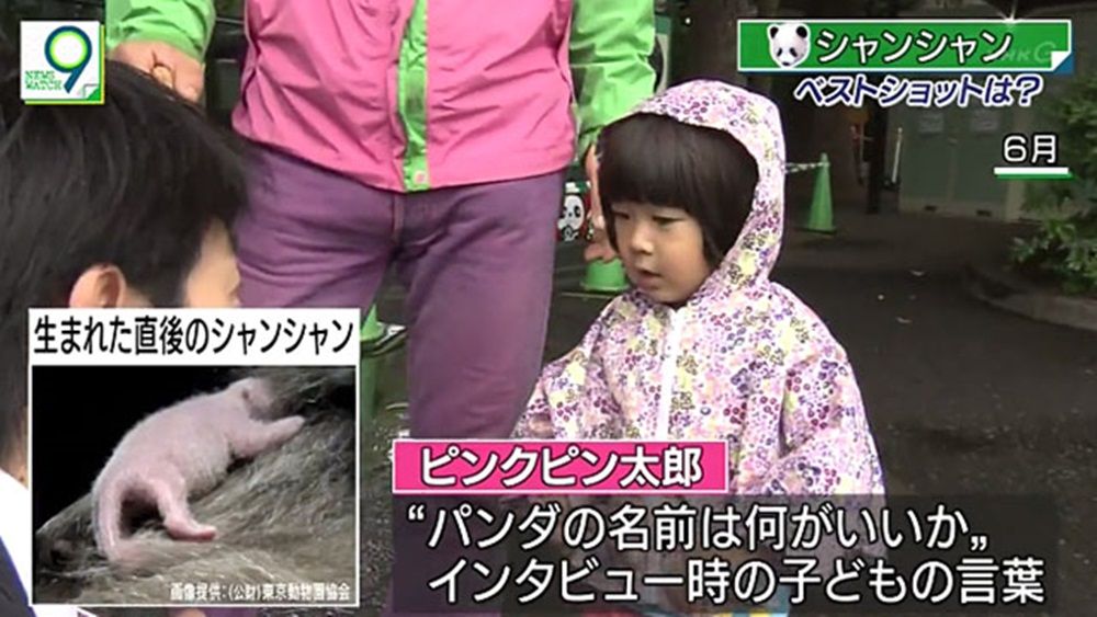 パンダ ピンクピン太郎ネタ ぬる い話 5 パンダ ピンクピン太郎ネタ ぬる い話 5