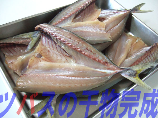 ツバスの干物 ヌッシー疑似餌同好会 ツバスの干物 ヌッシー疑似餌同好会