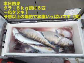 7本日釣果