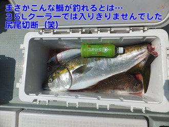 鳴門4