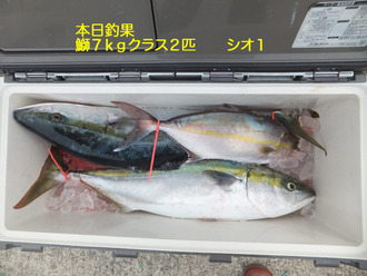 2月28日釣果