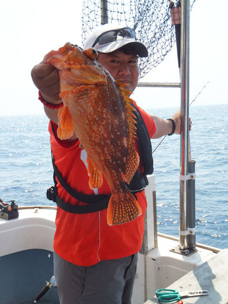 根魚天国で強欲軍団にジギングで真っ向勝負 : ヌッシー疑似餌同好会 根魚天国で強欲軍団にジギングで真っ向勝負 : ヌッシー疑似餌同好会