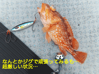 龍勢丸3