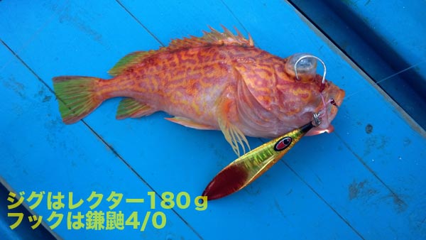 南紀の赤いお魚大会 ヌッシー疑似餌同好会
