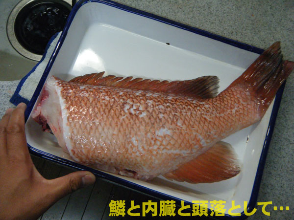 コブダイ喰ってみたぜ ヌッシー疑似餌同好会