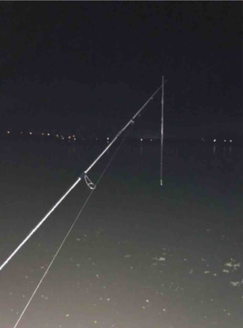 6 17 リバーシーバス 続 スピニングと同じベイトロッド買ったよ 釣り日記 情報満載 無料釣りサイト