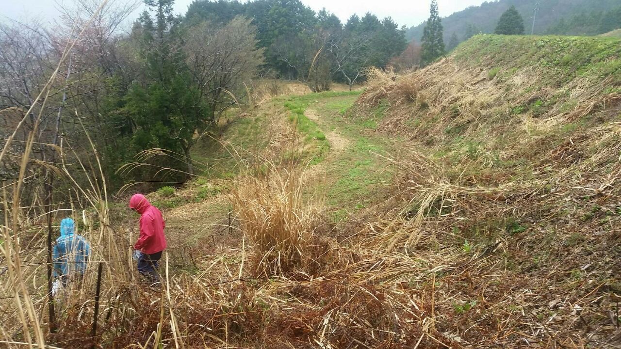 あく抜き 広葉樹の灰を使う 地元のおばあちゃん直伝の山菜の下処理方法 とびだせ栄養士 あく抜き 広葉樹の灰を使う 地元のおばあちゃん直伝の山菜の下処理方法 とびだせ栄養士
