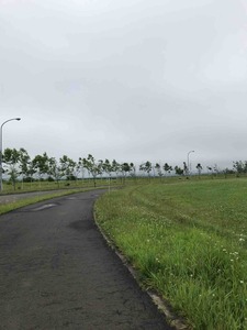 IMG_4925