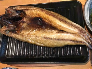 FullSizeRender