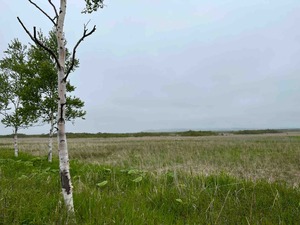 IMG_0337