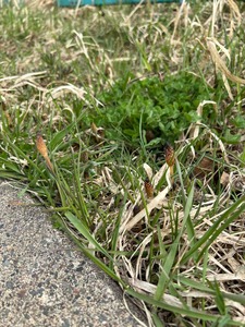 IMG_8474