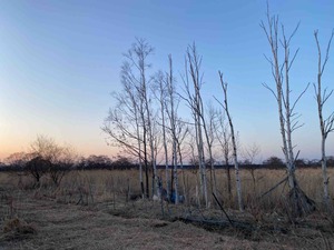 IMG_5488