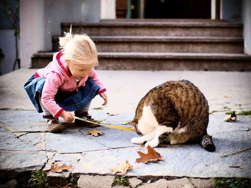 20130222181935_503_1