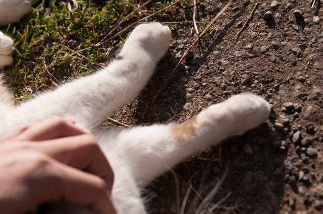 20130222181935_463_4