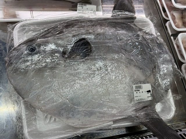 【画像】魚屋「マンボウ1匹98円！！！！！！！！！」