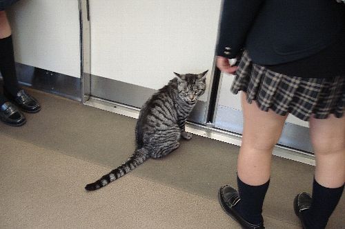 20130512203007_602_14