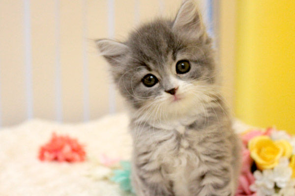 20130222181935_403_1