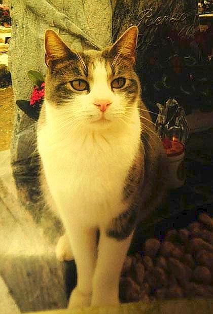 20130222181935_521_1