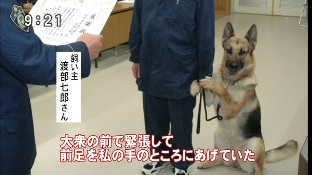 20130424044700_21_1