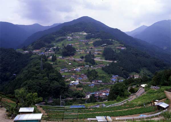 剣粗野