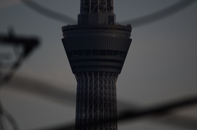 113_2