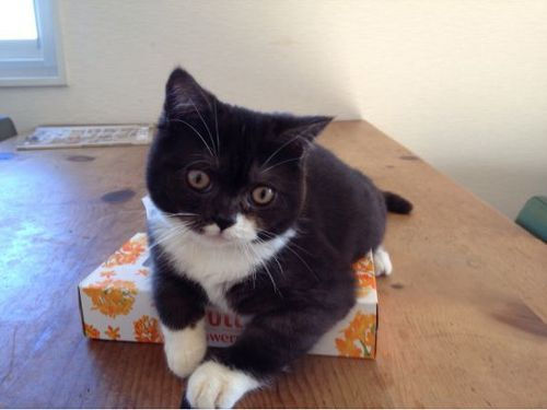 20130222181935_553_5