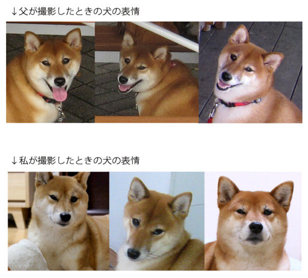 しば