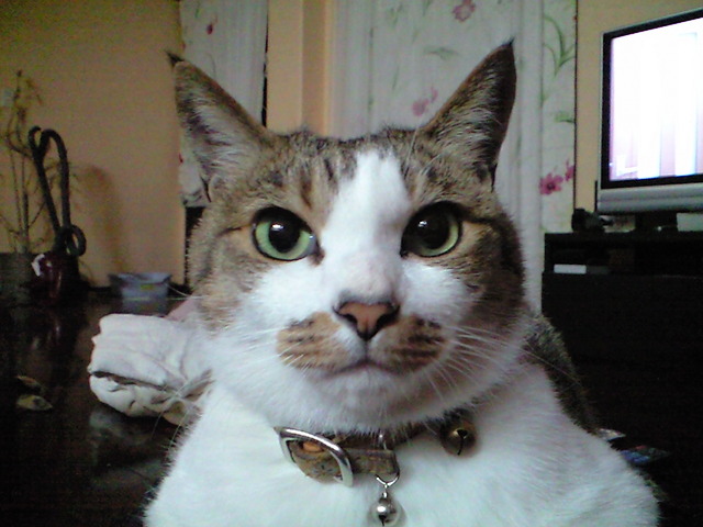 20130222181935_773_1