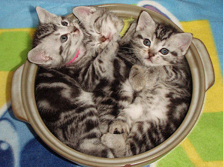 20130222181935_488_1