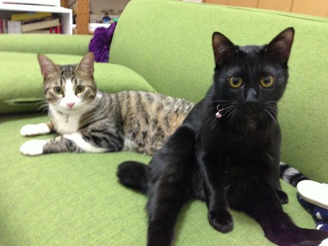 20130222181935_780_4