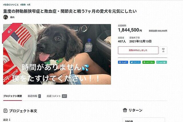 既に死んでる犬の治療費をクラファンで募り、185万を受け取ろうとして26歳 須藤栞奈容疑者逮捕