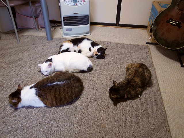 20130222181935_351_1