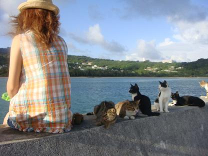 20130222181935_780_3