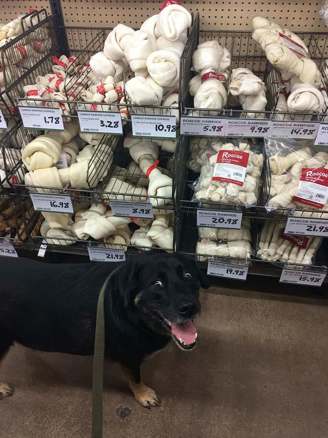 no title