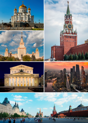 MSK_Collage_2015