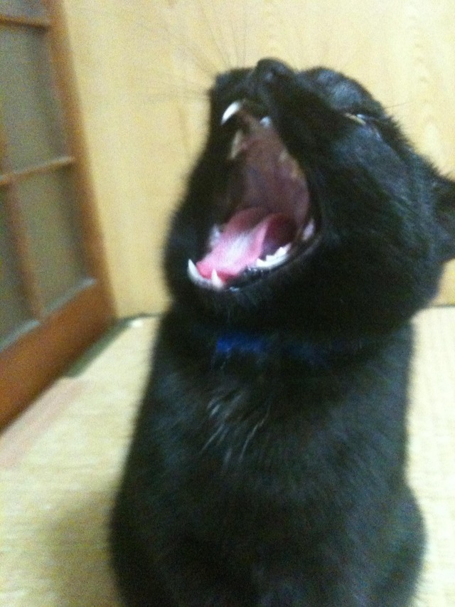 20130403130629_117_1