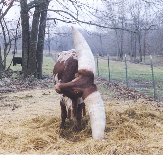 20130605131652_493_2