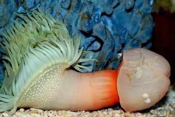 20130610174522_78_1