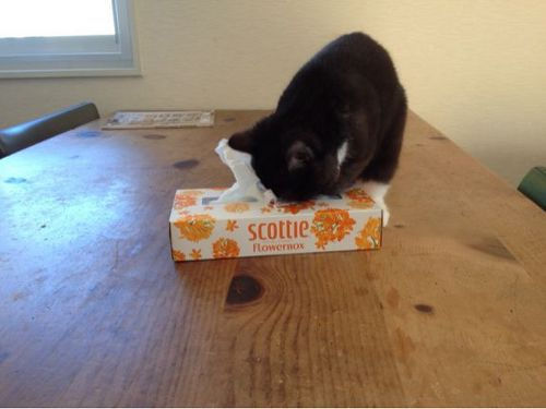 20130222181935_553_1