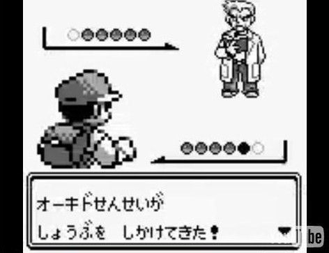 オーキド