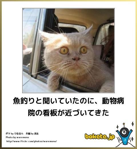20130424044700_239_1